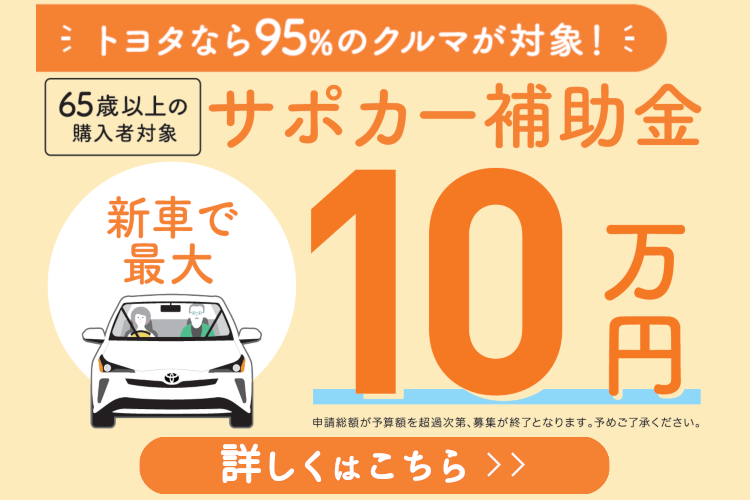 販社ニュース_『サポカー補助金』補正予算案 可決!