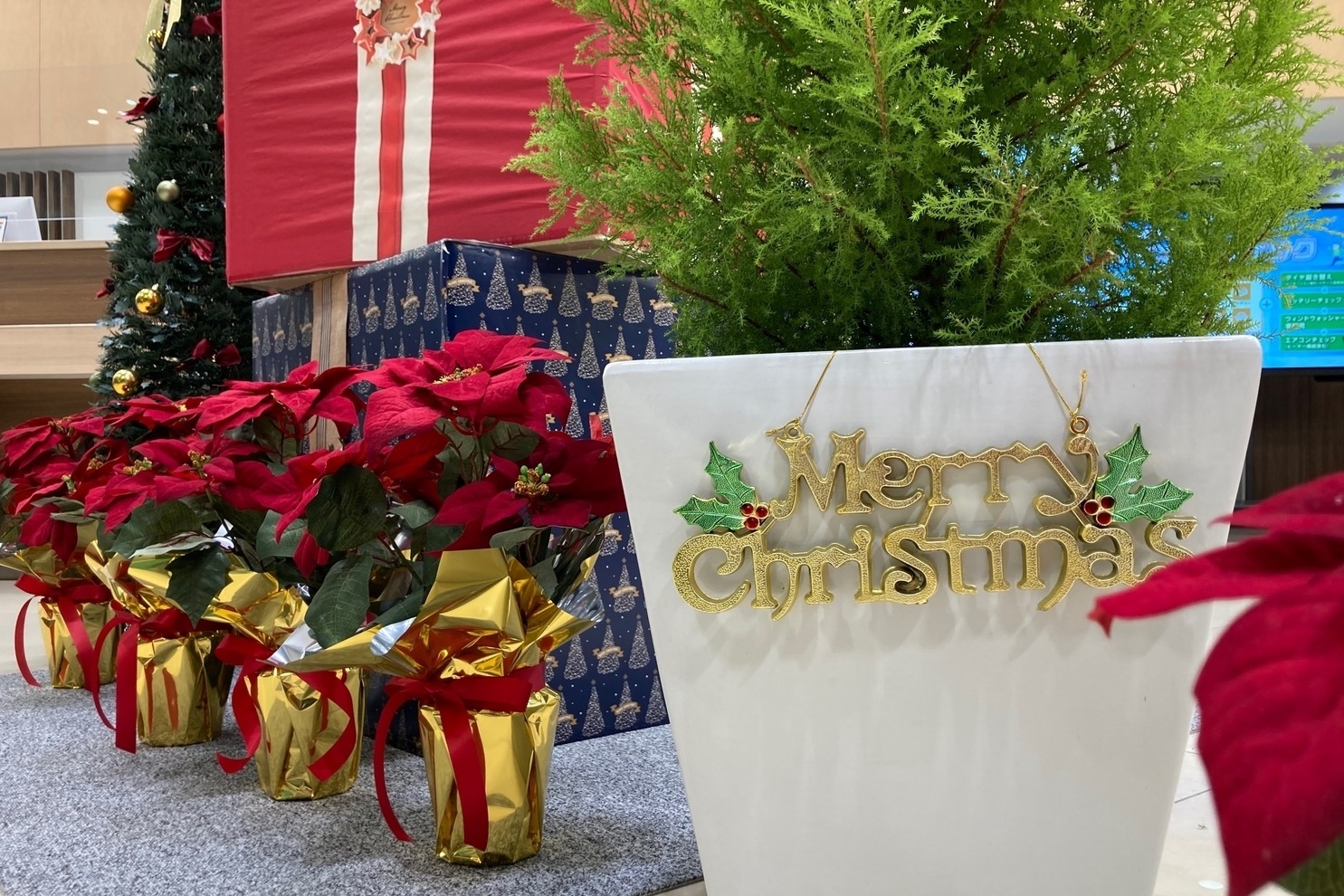 昭和の森店_クリスマス