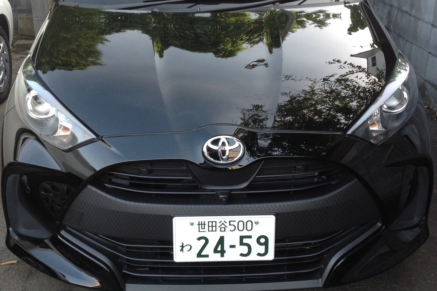 とっておきし福袋 トヨタ純正 乗降中表示灯 アクセサリー トヨタ純正 乗降中表示灯