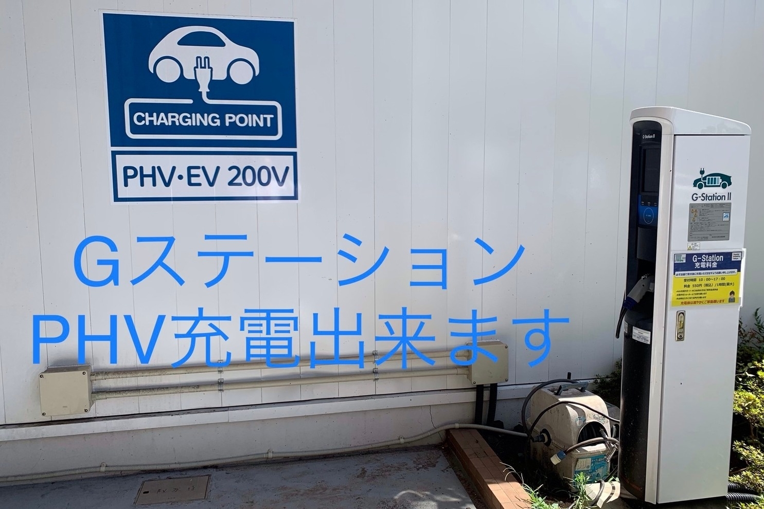 亀戸店_ギャラリー_05