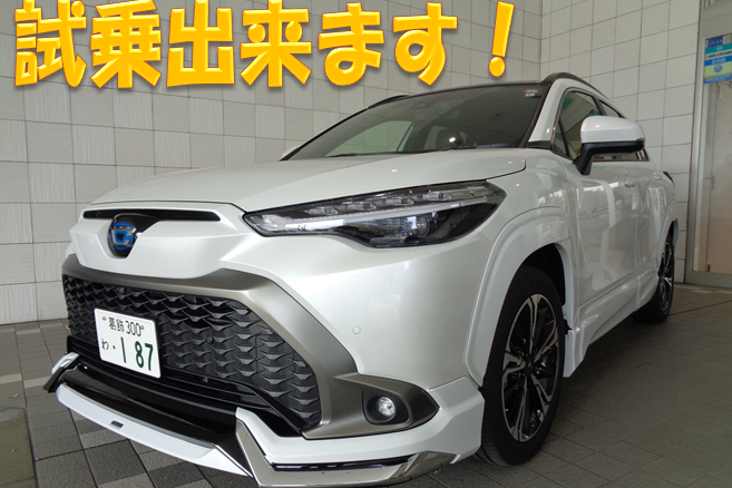 葛飾白鳥店_試乗