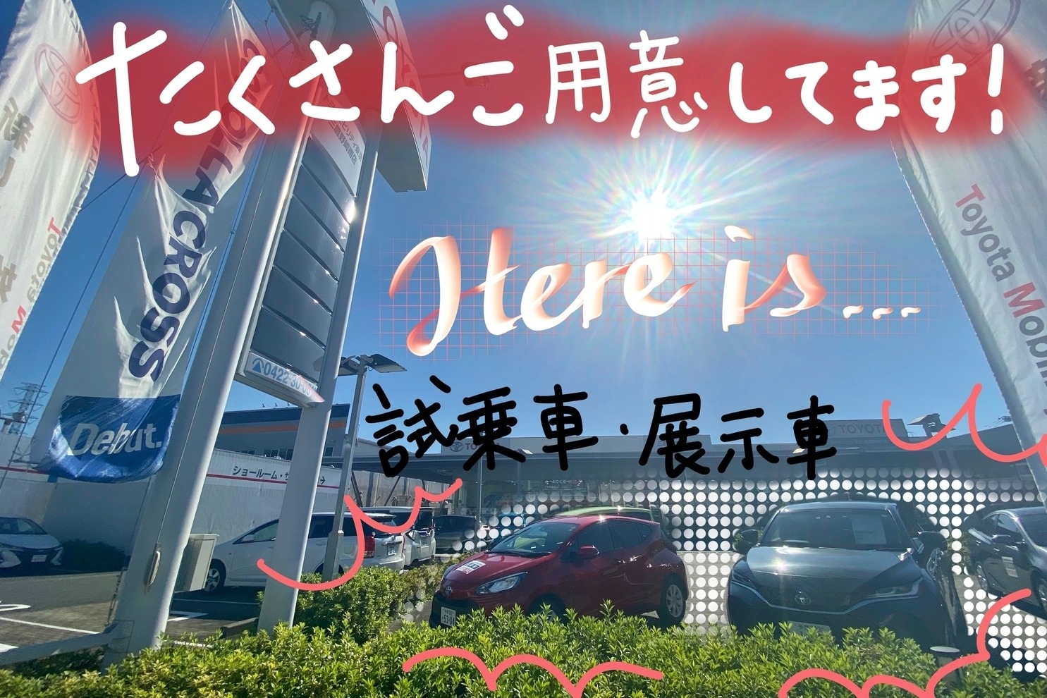 三鷹野崎南店_ギャラリー_04