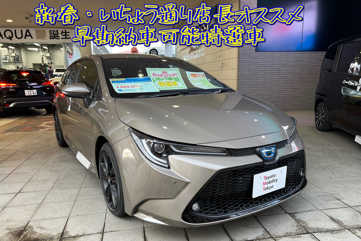 八王子いちょう通り店  トヨタモビリティ東京株式会社