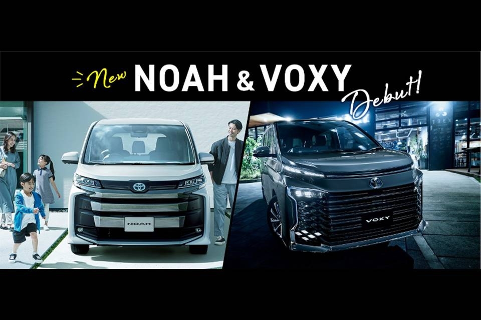 NOAH,VOXY