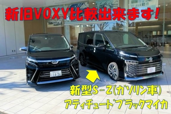 12d_VOXY2
