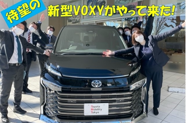 12d_VOXY