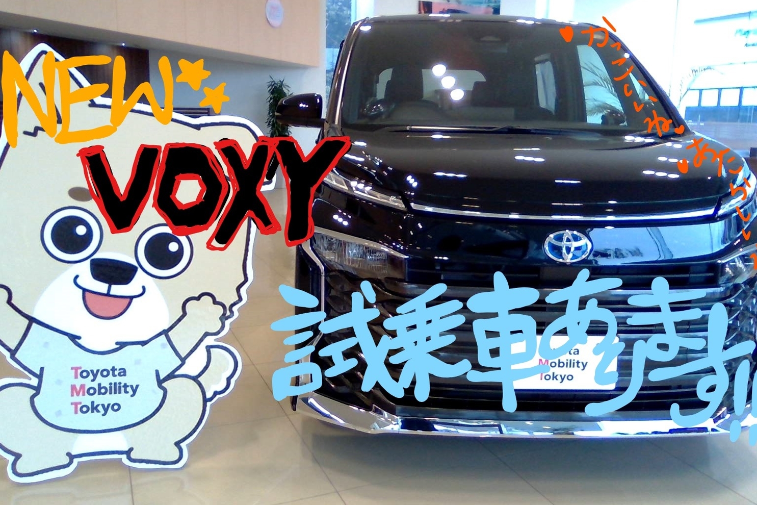 試乗車