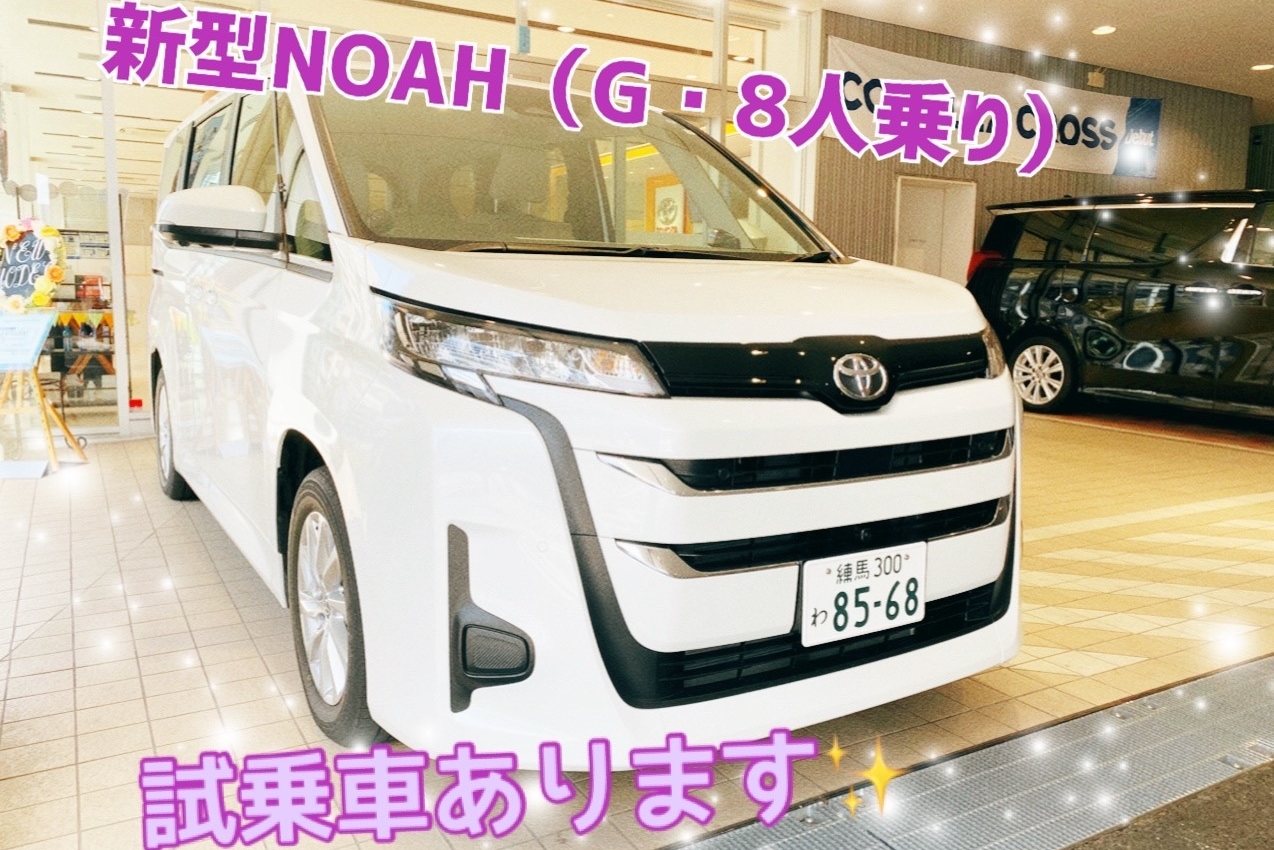 ノア試乗車入りました