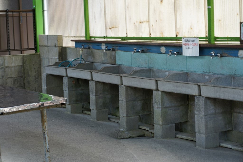s-DSC07252