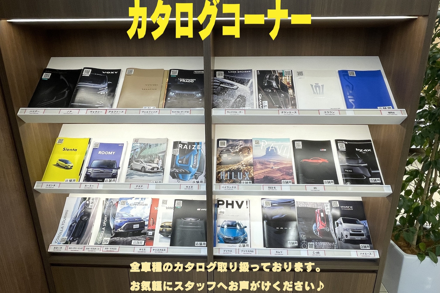 カタログコーナー