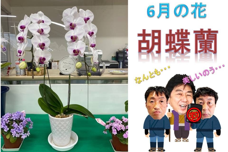 UC羽村