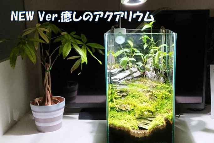 12G_アクアリウム