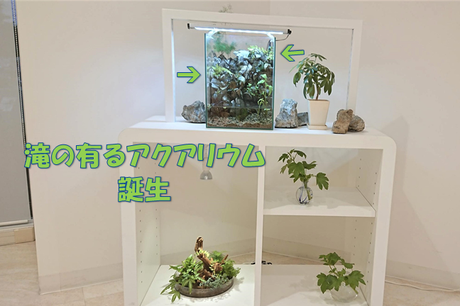 12G_アクアリウム2