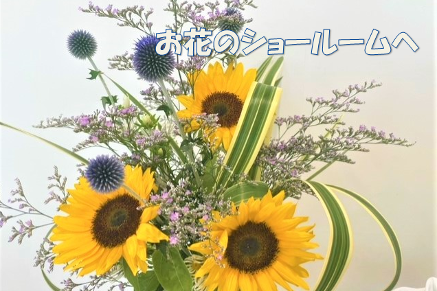 12g_ひまわり