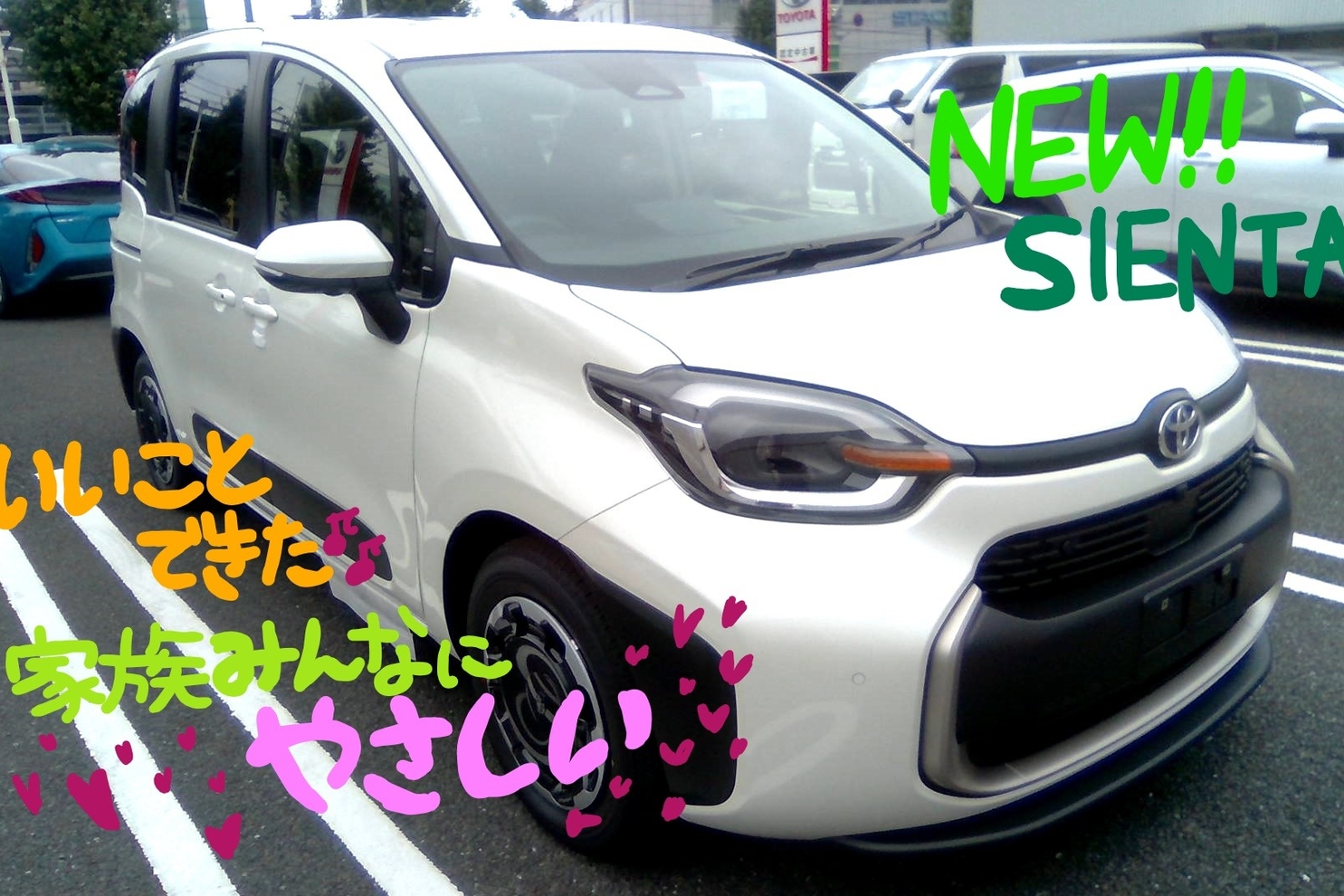 昭和の森店 トヨタモビリティ東京