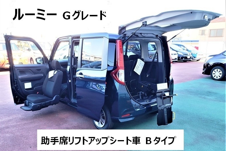 江戸川中央ウェルキャブステーション