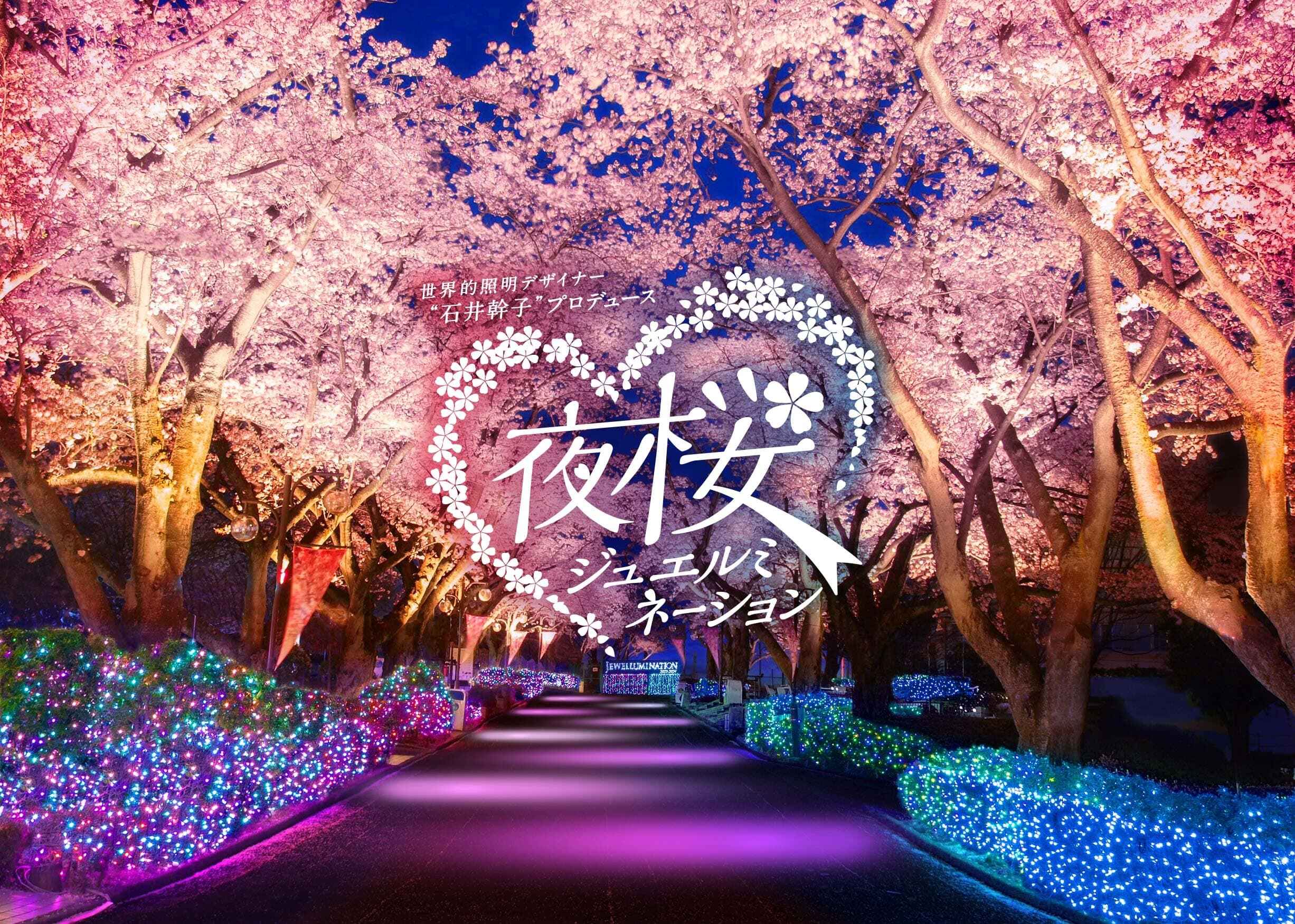 10/1 お取り置き　夜桜 関東おすすめ桜スポット!ドライブで楽しむ桜推し旅お花見・桜名所14選