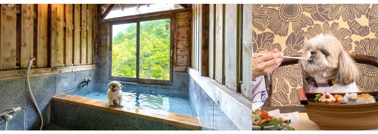 店頭引き取り限定】木製プレイハウス 大型窓付き