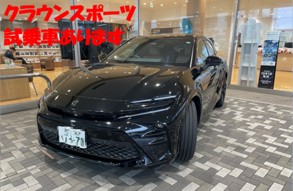 プリュイ　ホーンクラウン プリュイ ホーンクラウン
