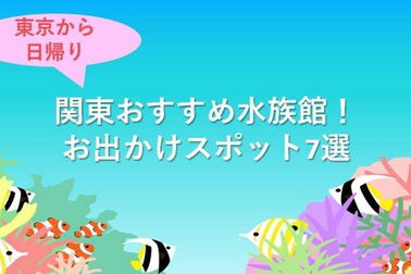 2025年8月8日GOODCARLIFEサムネイル