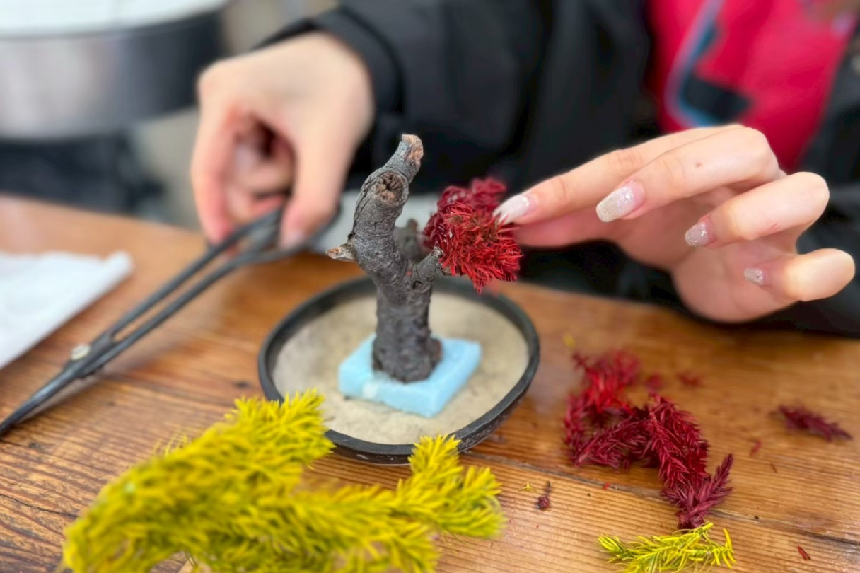 RE BONSAI™ WORKSHOP ワークショップの様子