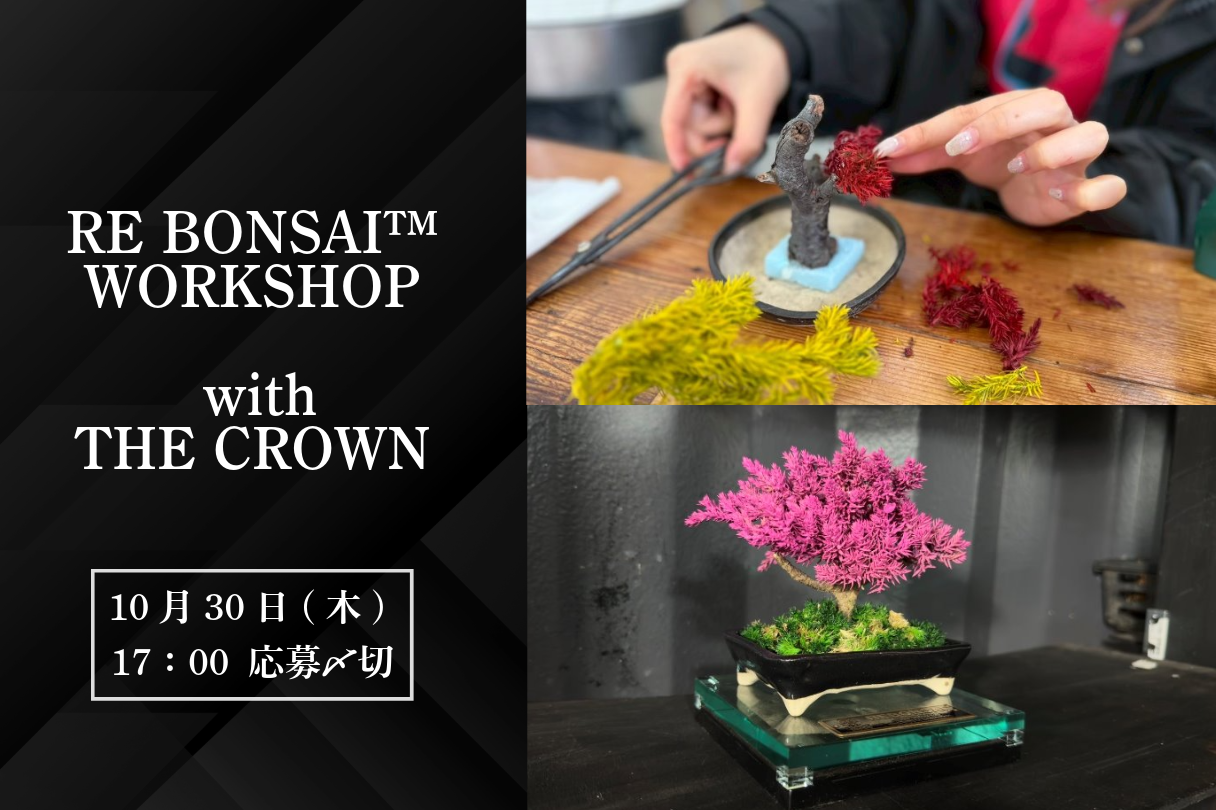 RE BONSAI WORKSHOP with THE CROWN