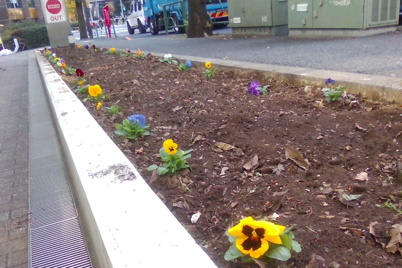 11C_花壇