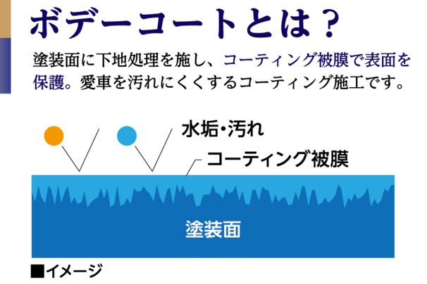 【店舗使用不可】B51_中古_ボデーコートボデーコートとは？