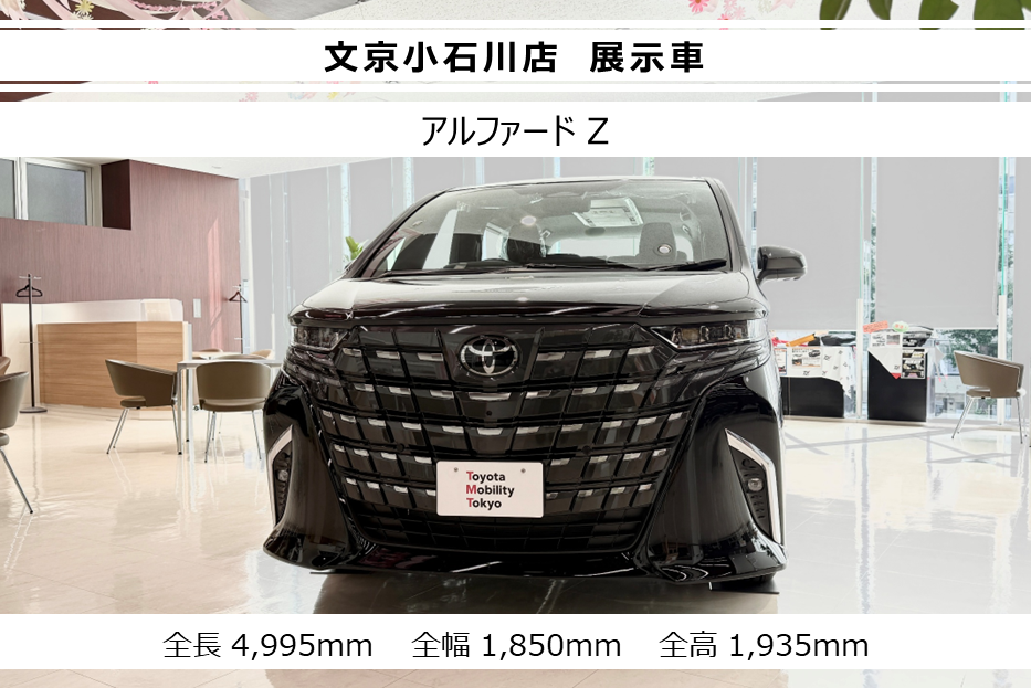 アルファードZ　展示中です