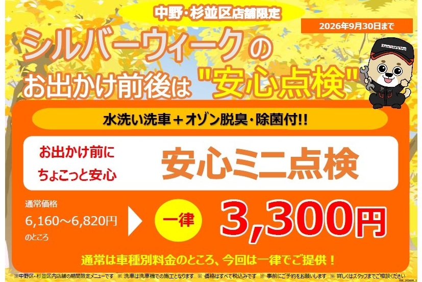 09C-シルバー