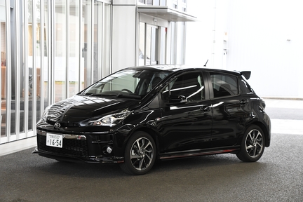 GRG_GRMN_Vitz