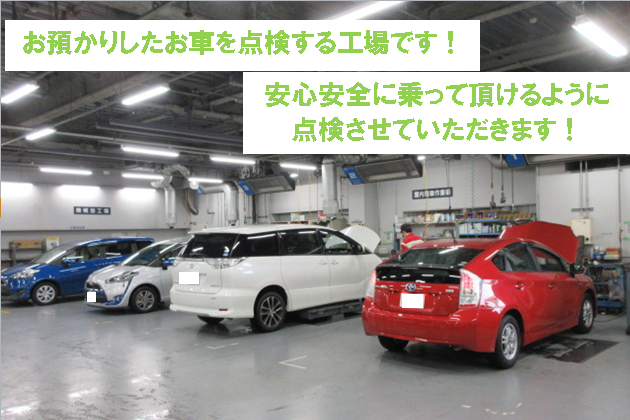昭和の森店