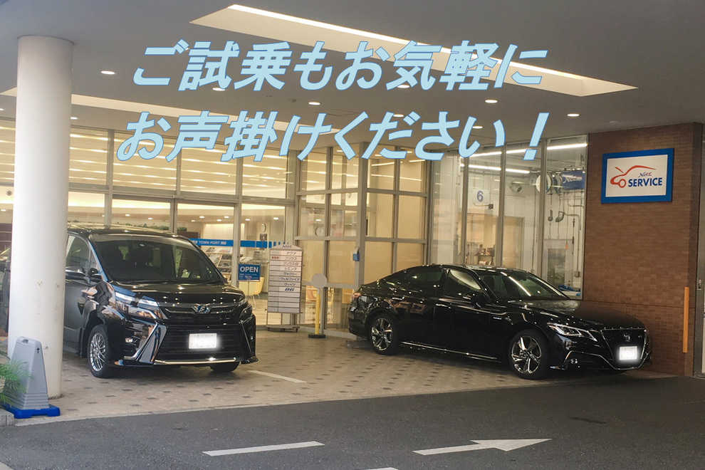 ギャラリー