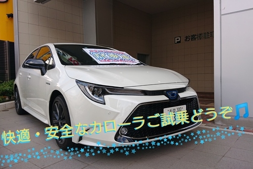浜田山5