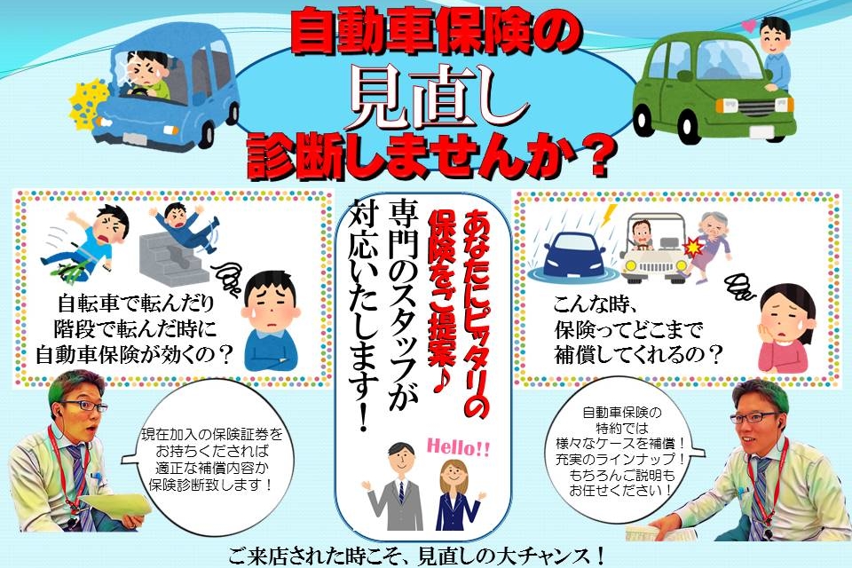 ほけんていん