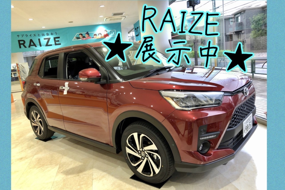 RAIZE