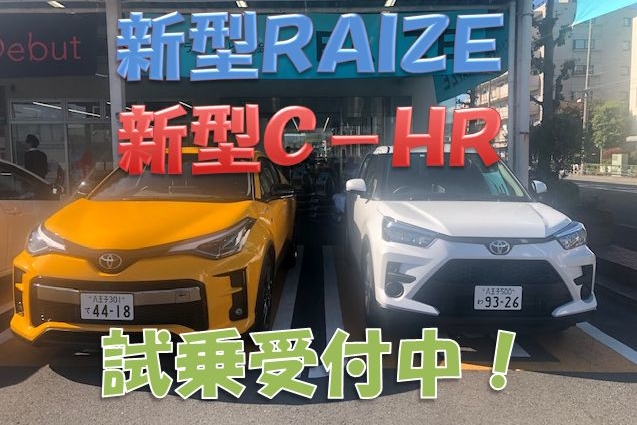 RAIZE