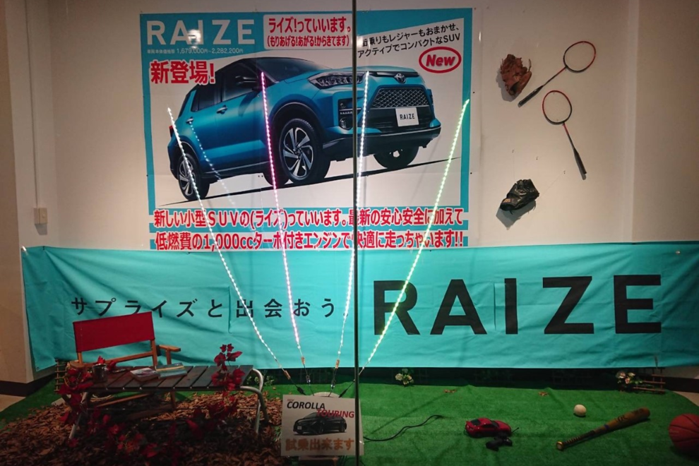 RAIZE