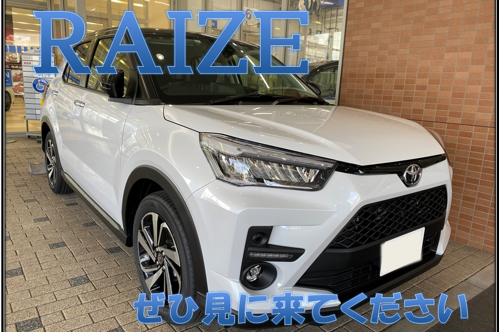 RAIZE