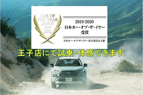035_RAV44