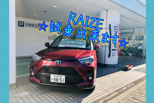RAIZE