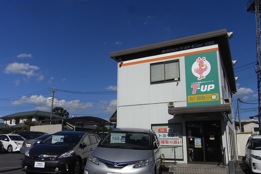14T_店舗