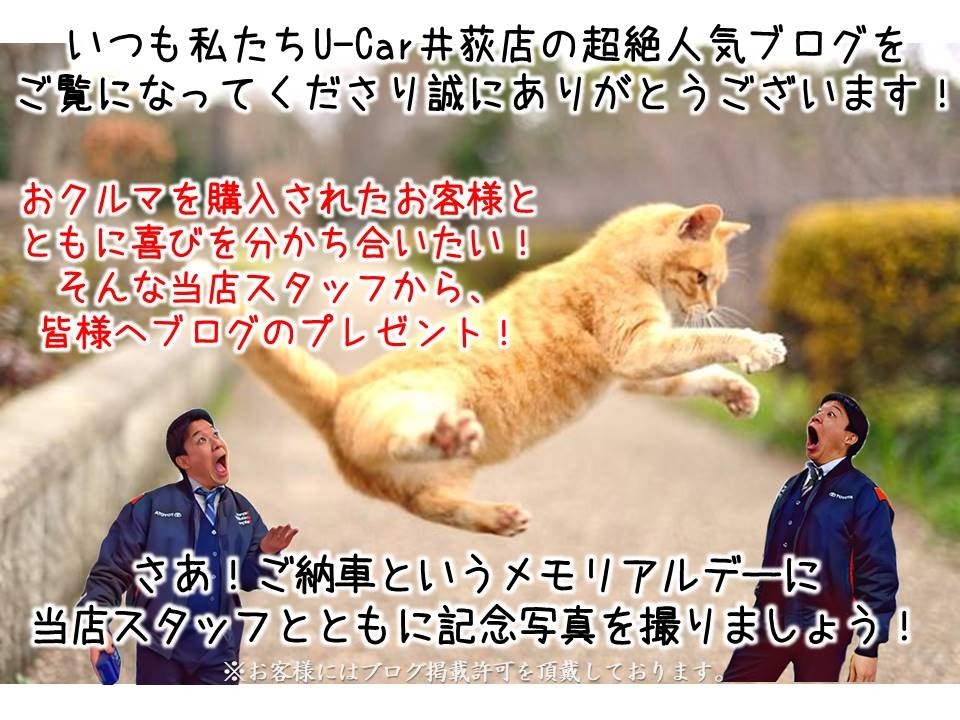 should i buy a cat u car