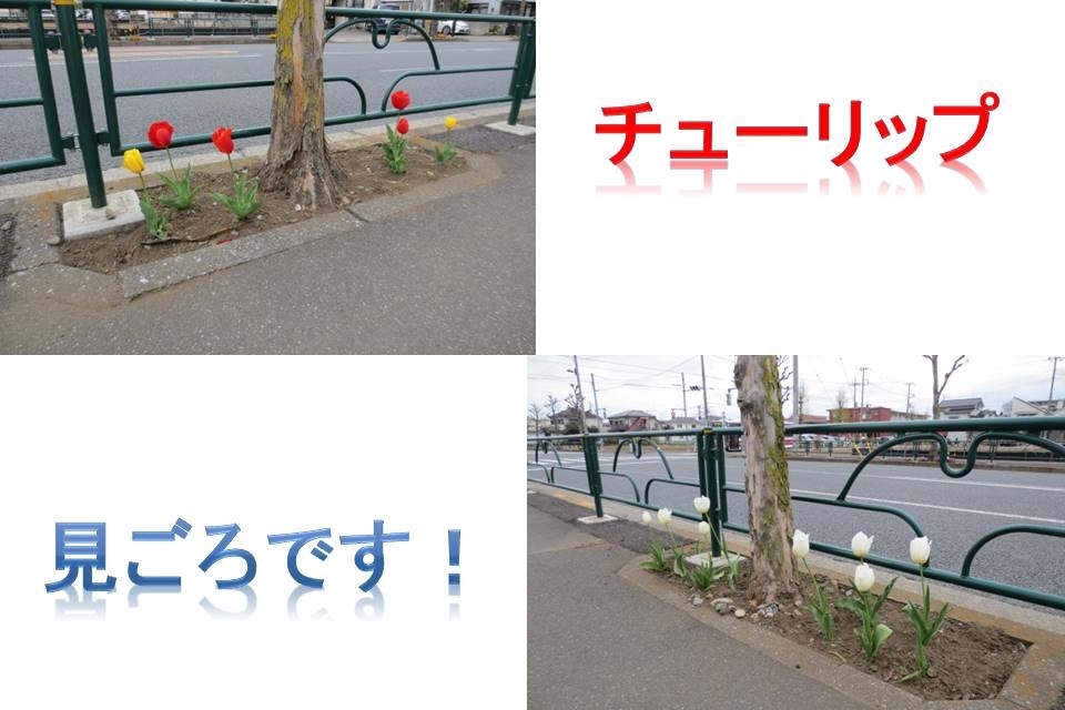 UC羽村