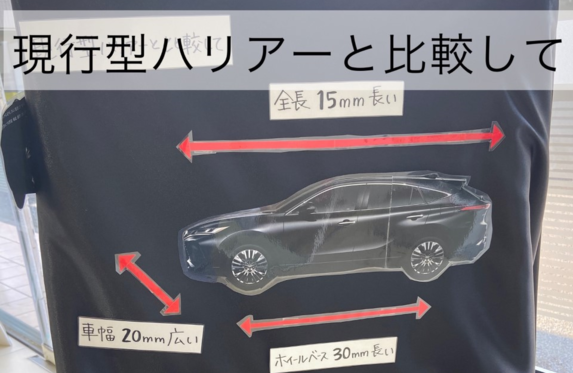 ボディサイズの比較 新人のご紹介