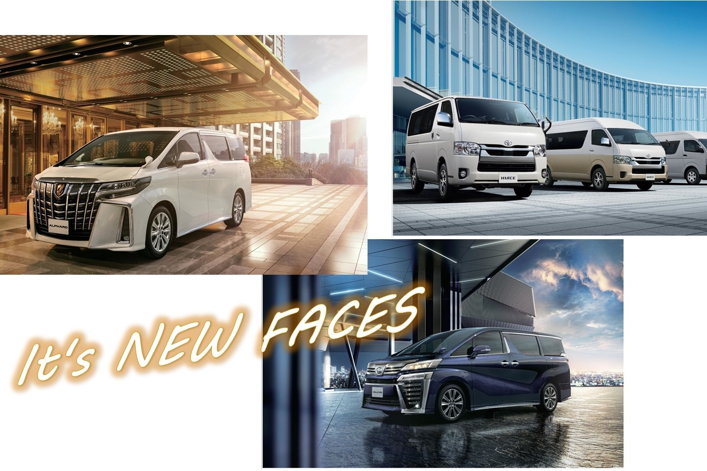 新型・特別仕様車