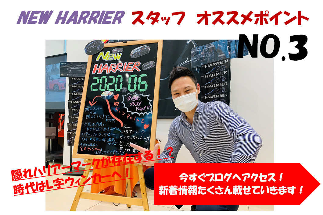 shop_14B_練高ハリアー3