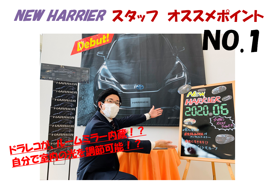 shop_14B_練高ハリアースタッフオススメ1