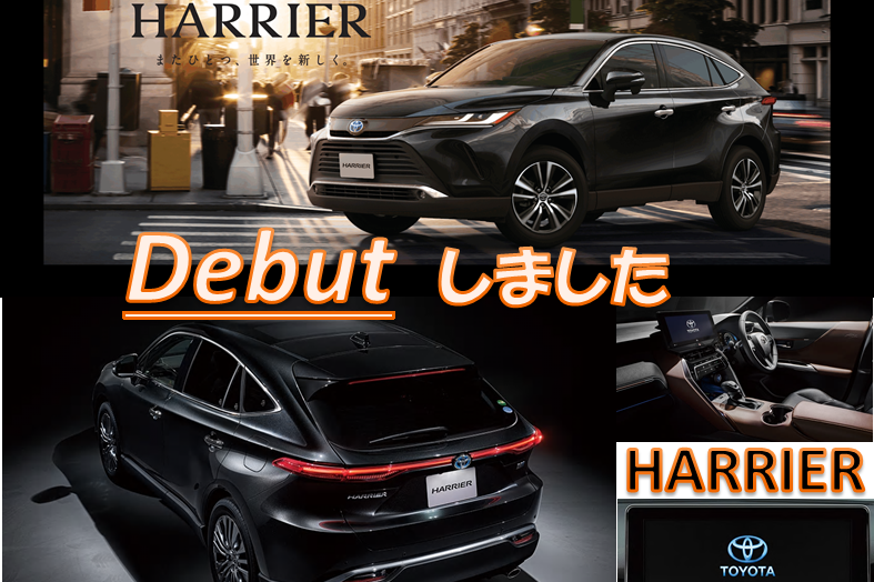 shop_14C_新型ハリアー