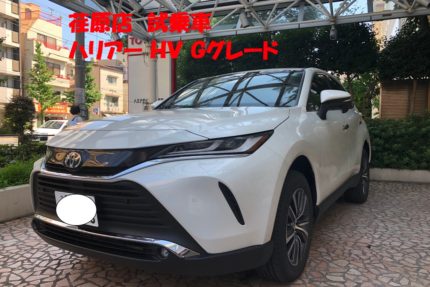 ハリアー荏原